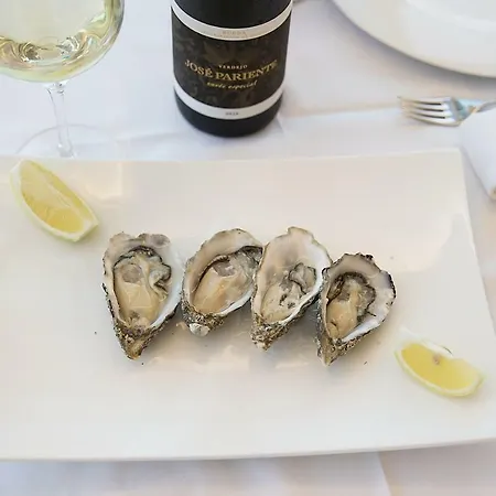 Πανσιόν Ocean Lounge